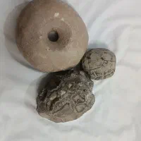 سنگ کلکسیونی