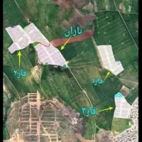 زمین جنب دانشگاه