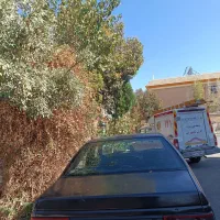 روا ۸۷|خودرو سواری و وانت|کرج, برغان|دیوار