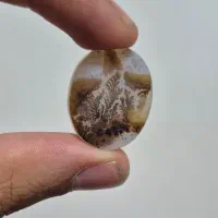 شجر قائن مناسب انگشتر و پلاک و دستبندهای کلکسیونی|جواهرات|تبریز, |دیوار