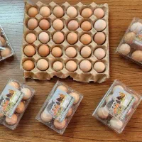 تخم مرغ محلی تازه|خوردنی و آشامیدنی|نیشابور, هفده شهریور|دیوار