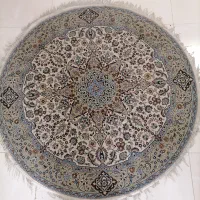 فرش|فرش|کاشمر, |دیوار