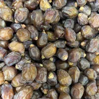 فروش  خرما از باغدار بدون واسطه|عمده‌فروشی|تهران, تختی|دیوار