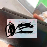 کیف گم کردم