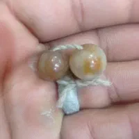 شوش دانیال|جواهرات|پرند, فاز ۰|دیوار