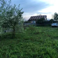 اجاره خانه کلنگی غیر مسکونیبرای گلخانه ۱۵۵۰|اجارهٔ خانه و ویلا|خمام, |دیوار