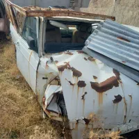 وانت تصادفی