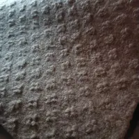 ۶۰ متر موکت قهوه ای