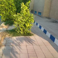 رنگ امیزی ساختمان|خدمات پیشه و مهارت|بندر کنگان, |دیوار