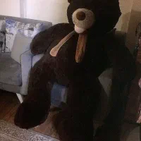 خرس تدی ۲ متری ترک نو