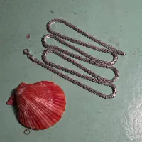 زنجیر کرال و ونیزی