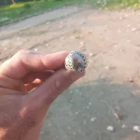 انگشتر شجر و باباقوری|جواهرات|تنکابن, |دیوار