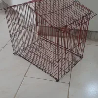 قفس پرنده|لوازم جانبی حیوانات|باغستان, |دیوار