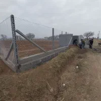 فنس کشی|خدمات باغبانی و درختکاری|تاکستان, |دیوار
