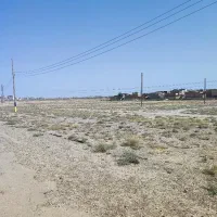 زمین-سند-تک-برگ
