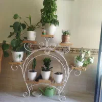استند گل طبیعی
