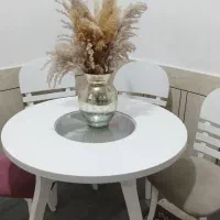 میزناهارخوری ومیزتلویزیون