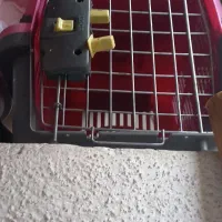 قفس پت