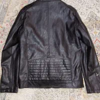 کاپشن چرم|لباس|تهران, باغ خزانه|دیوار