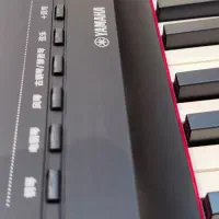 پیانو یاماها P-125 aB نسخه بروز شده P-125B|پیانو، کیبورد، آکاردئون|اهواز, گلستان|دیوار