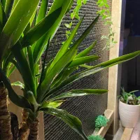 آبنماهای سنگی(اقتصادی)