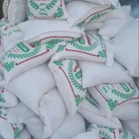 برنج هاشمی کشت دوم