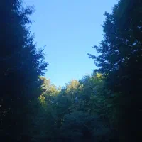 با سه میلیون