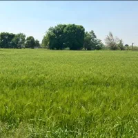 زمین باغچه زیرقیمت یک فرصت سرمایه گذاری