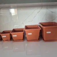 مجموعه‌ای از گلدان و زیر گلدانی|گل و گیاه طبیعی|شاهین‌شهر, فدک|دیوار