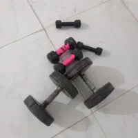 همخونه