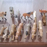 کلکسیون حیوانات|کلکسیون و سرگرمی|اندیشه, اندیشه فاز ۵|دیوار