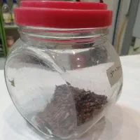 شیشه خالی|ظروف نگهدارنده، پلاستیکی، یکبارمصرف|تهران, بهار|دیوار