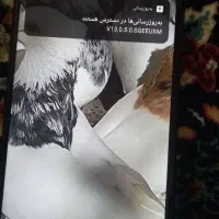 ردمی ۱۰c|موبایل|مشهد, طبرسی شمالی|دیوار