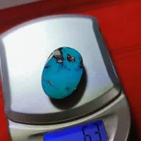 فیروزه نیشابوری