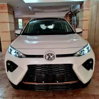 وایلندر لاکپری پلاس ۲۰۲۵ خشک پلاک شده