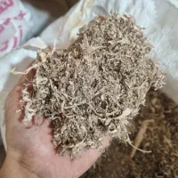 پوشال چوب|لوازم جانبی حیوانات|رشت, کوی قدس|دیوار