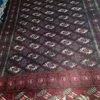 فرش ترکمنی پشم با ۶۰ سال سابقه|فرش|تاتار علیا, |دیوار