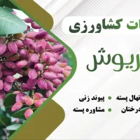 خدمات کشاورزی داریوش