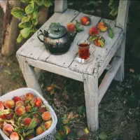 راهنمایی و هم صحبتی