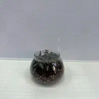 تراریوم مدل خورشید