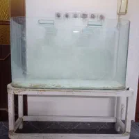 اکواریوم شیشه خم .