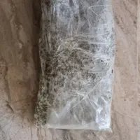 سبزی خورشتی آب پز شده|خوردنی و آشامیدنی|هلیلان, |دیوار