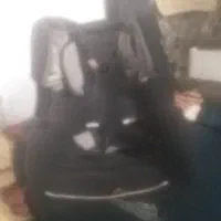 صندلی کودک|تخت و صندلی بچه|گلبهار, شهر جدید گلبهار|دیوار