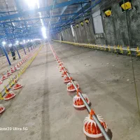 فروش لوازم مرغداری|ماشینآلات صنعتی|تفت, |دیوار