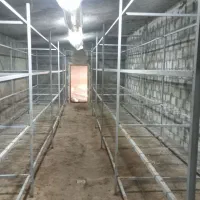 تجهیزات پرورش قارچ