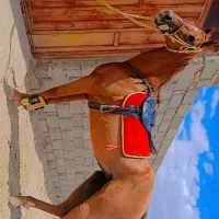 اسب مادیان دوخون