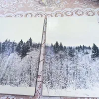 تابلو منظره برفی|تابلو، نقاشی، عکس|پردیس, فاز ۱۱|دیوار