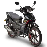 موتور هرم اسپید 1404