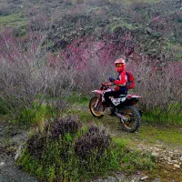 تریل بهپر 200 مدل 402