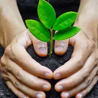 اماده بکارم خدمات  تولید